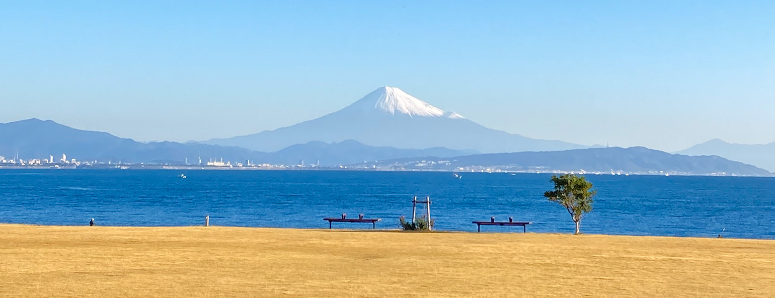 石津浜公園