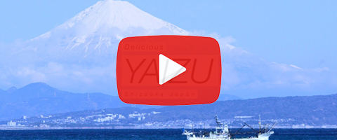 Yaizu City, Japan 8K - 焼津市