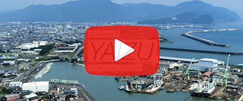 Yaizu City, Japan 8K #2 - 焼津市